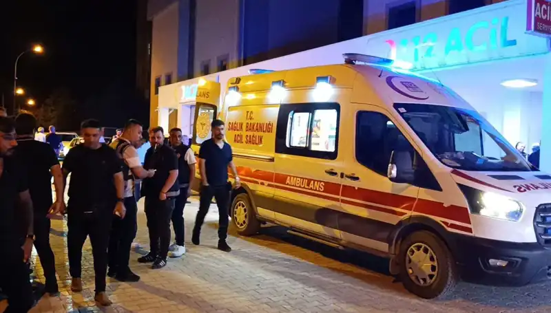 Kardeş Kavgasında Can Alan Tragedi: Dramatik Olayın Detayları
