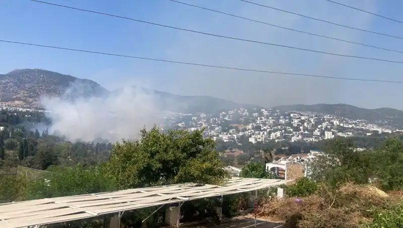 Muğla'daki Orman Yangınları: Kontrol Altında, Ama Tehlike Devam Ediyor