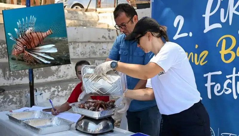 Antalya’da İstilacı Aslan Balığı Avlama Yarışmasıyla Su Altı Hayatı Koruma Mücadelesi