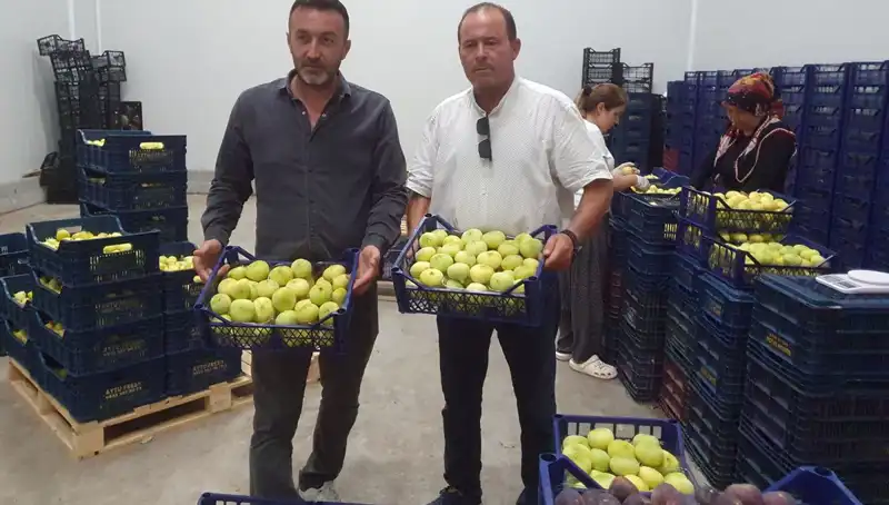 Mersinli Çiftçiye Müjde: Tarım Ürünleri İhraçla Yüzde 100 Kazanç Sağlıyor!