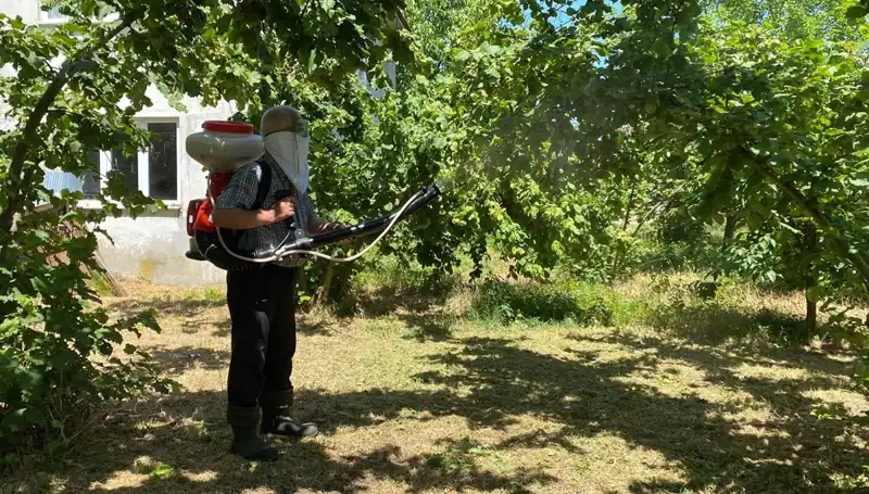 Çiftçilerin Umudu Kükürt ve Samuray Arısı ile Mücadelede Yeni Bir Dönem!