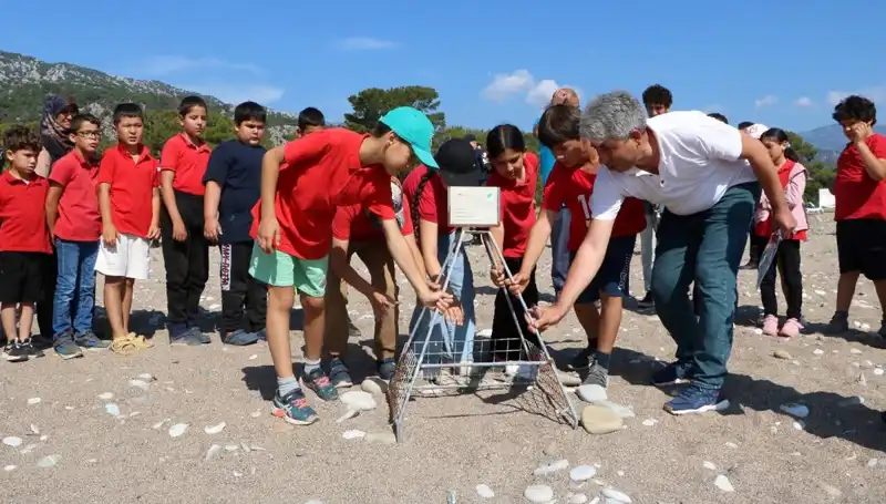 Kemer'de Caretta Caretta Koruma Yasakları Başladı: Deniz Turu Severleri Dikkat!