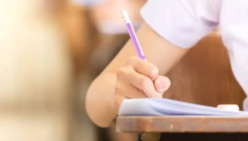 LGS 2023 Raporu: MEB'den Çarpıcı Değerlendirme ve Ayırt Edici Sorular
