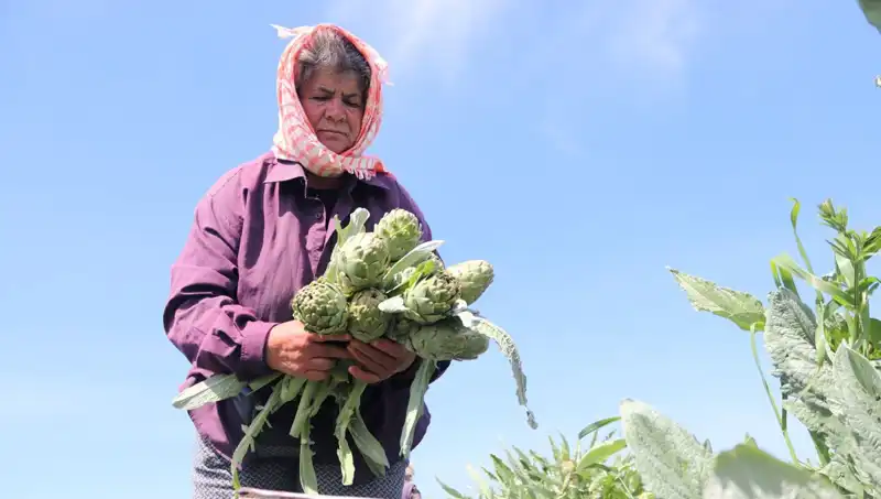 Taze Sebze ve Meyvelerin Fiyatları Artıyor: 50 TL'lik Tezgahlar