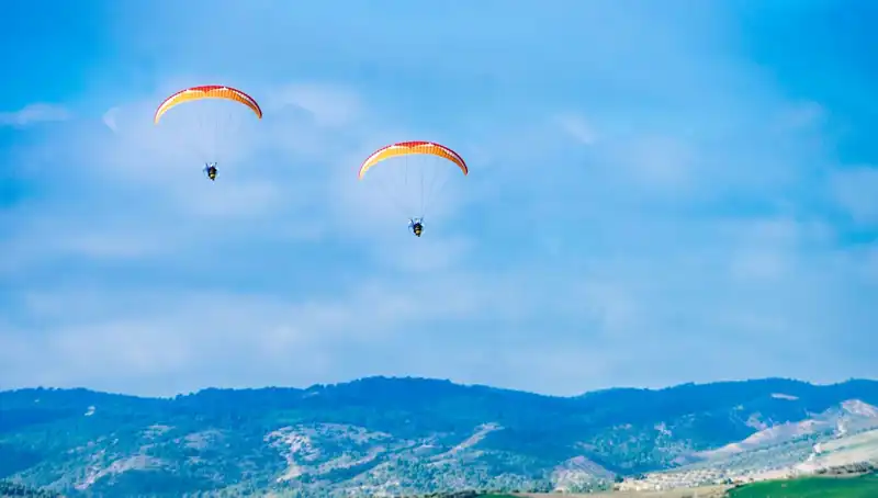 ABD'de 2 Polonya Askeri Paraşüt Eğitimi Sırasında Hayatını Kaybetti