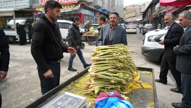 Doğanın Şifası: Dağlık Alanlardan Toplanan Şekerin Sağlık Faydaları