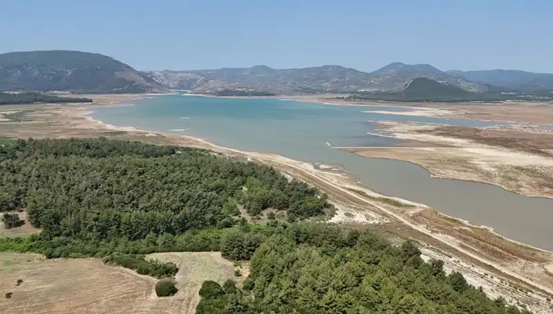 İzmir’de Korkutan Düşüş: Geçen Yıla Göre Yüzde 50 Azalma!