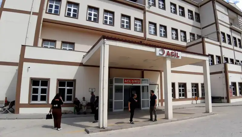 Bolu'da Ayı Avı Kararı: Doğanın Dengesini Koruma Amaçlı Tartışmalı Uygulama