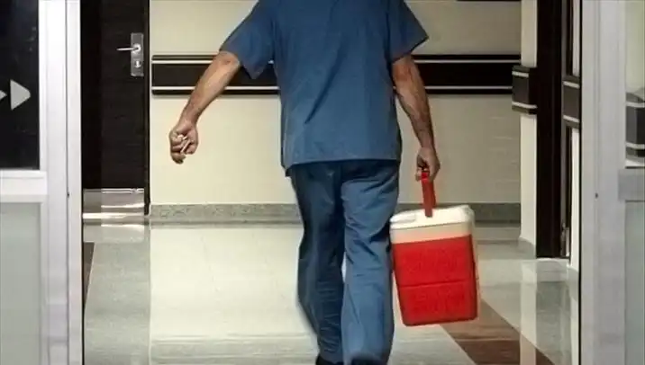Organ Bağışında Devrim: e-Devlet ve e-Nabız ile Kolay İşlem Dönemi