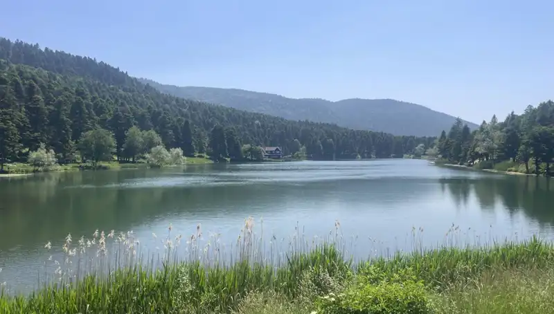 Bolu'nun Milli Parklarına Ziyaretçi Akını: Doğa Aşıkları Buluştu