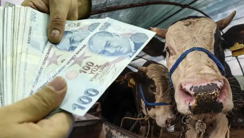 Memur ve Emekli Maaşları Bayram Öncesi Ödenecek mi? Cevap Geldi!
