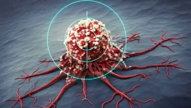 Prostat Kanseriyle Mücadelede 6 Etkili Besin: Bilimsel Gerçekler
