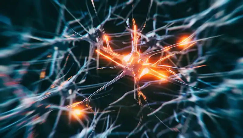 Alzheimer Vakalarında Şok Artış: Nedenleri ve Gelecek Öngörüleri