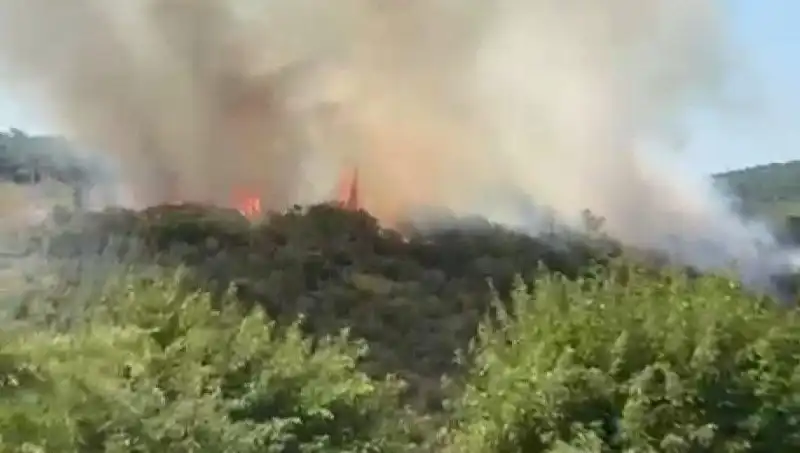 İstanbul'da Orman Yangını: Vatandaşlar Zorunlu Olarak Tahliye Edildi
