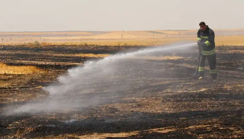 Eskişehir'de Yangın: Trafo Patlaması Tarım Arazisini Kül Etti