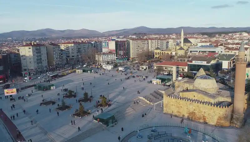 Kırşehir’de Keşfedilen Yeni Böcek Türü Bilim Dünyasını Sarstı
