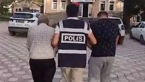 Köpek Dövüşü Skandalı: Şok Eden Gözaltılar ve Ardındaki Gerçekler