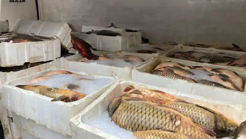 Kaçak Balık Avına Çıkanlara Benzin Kadar Pahalı Ceza