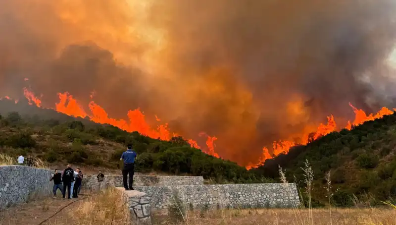 Bursa, Kocaeli ve İzmir'de Yangın Alarmı: Ormanlar Tehlikede!