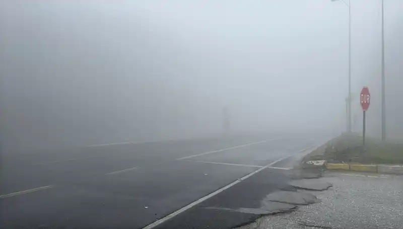 Bolu Dağı'nda Sis Etkisi: Güvenli Seyahat İçin Dikkat Edilmesi Gerekenler