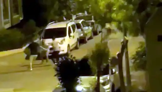 Avcılar'da Çevredekilerin Kahramanlığı: 3 Kişi Tarafından Saldırılan Adam Kurtarıldı