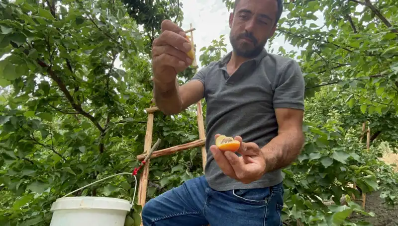 Lezzetiyle Damağınızı Şenlendirecek: 50 TL ile 70 TL Arasındaki Fırsatlar