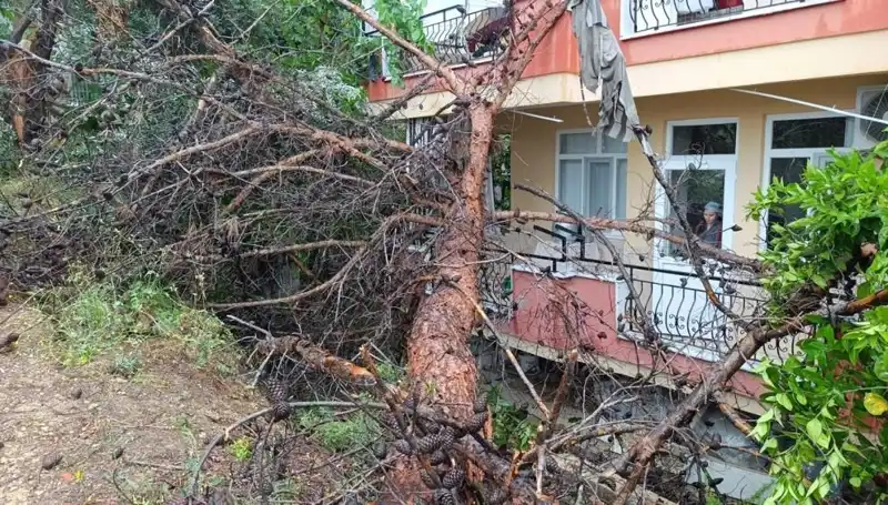 Yağmurdan Etkilenen Binası, Nasıl Devrildi? İşte O Anlar!