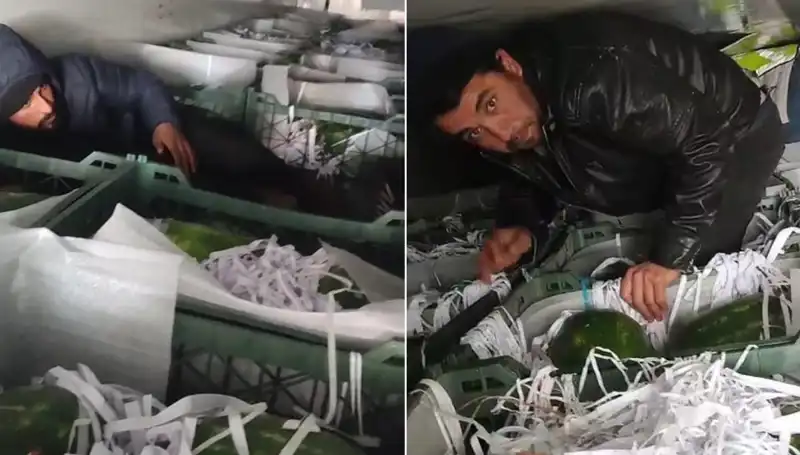 Türkiye'de Karpuzların Arasından Göçmenler Çıktı: Sınır Güvenliğine Dikkat Çekiliyor