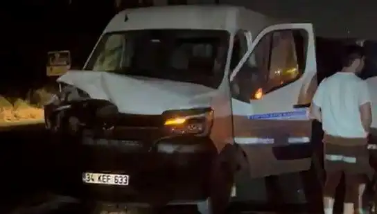 İstanbul’da Manda Kazası: Üç Kişi Yaralandı, Olayın Detayları Şoke Etti