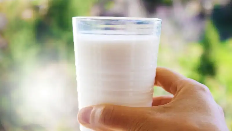 Süt Tüketimi Şişkinliği Artırıyor mu? Uzman Görüşleriyle Cevabını Bulun!