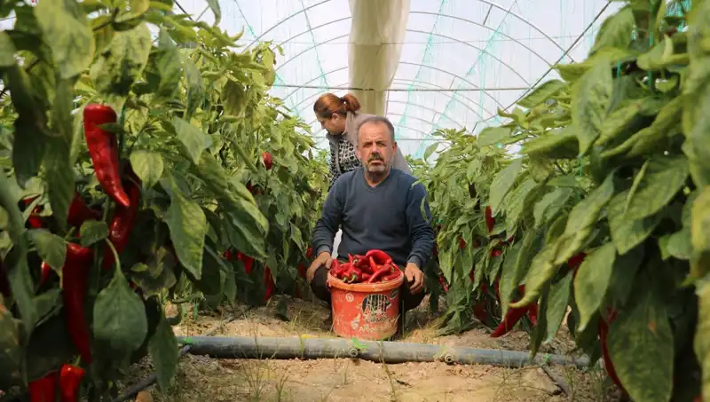 Fiyatın Yüzde 50 Arttığı Ürün: Tüketici İtiraz Ediyor!