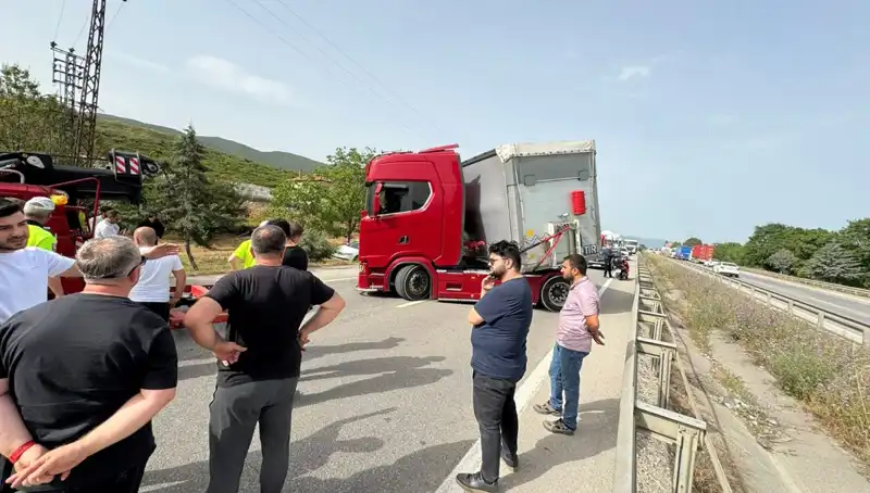 Seyir Halindeyken Arı Soktu: Yolda Şok Anlar ve Trafic Kilidi
