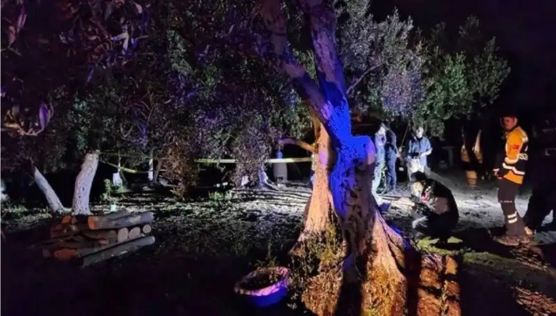 Çiftlikteki Baltalı Vahşete Bir Tutuklama: Olayın Perde Arkası Nedir?