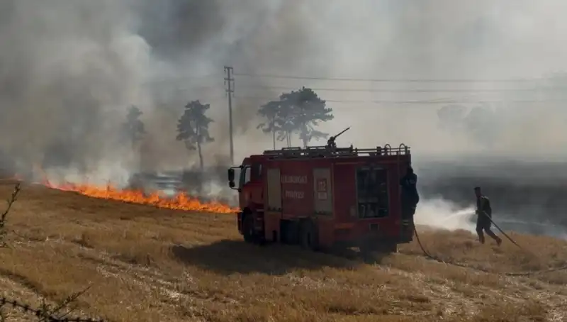 Kırklareli'nde Büyük Panik: Anız Yangını Kontrol Altına Alındı