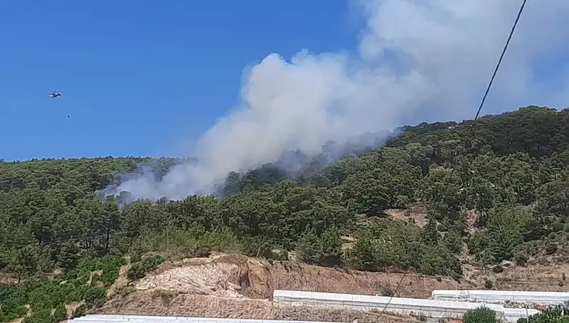 Kumluca'da Yangın Faciası: Orman Alanları Kül Oldu