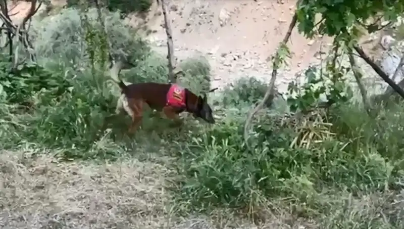 Dere Kenarındaki Gizli Uyuşturucu Stoku Dedektör Köpekle Ortaya Çıktı