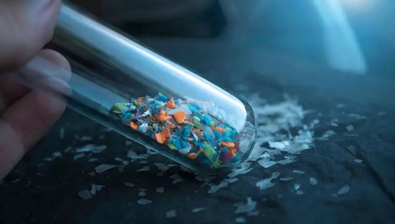 Mikroplastiklerin Beyin Üzerindeki Etkileri: Bilim Dünyası Şokta