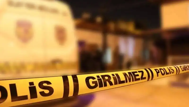 Diyarbakır'da Kayınpederin Dehşet Dolu Saldırısı: Aile İçindeki Korku