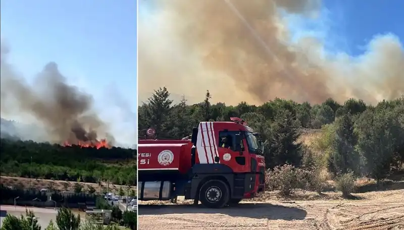 Gebze’deki Orman Yangını Korkuttu: Yangın 20 Saat Süren Ekip Müyahareleriyle Kontrol Altına Alındı