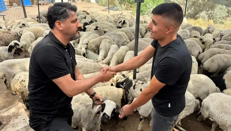Kurbanlık Satın Alırken Bilinçli Olun: Tuz ve Sumak Tuzağına Dikkat!
