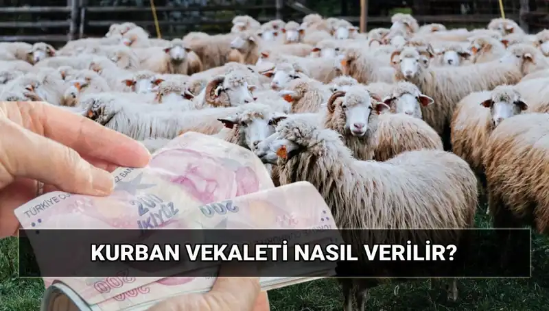 Vekaletle Kurban Kesimi: 2025 Diyanet Bedeli ve Süreci