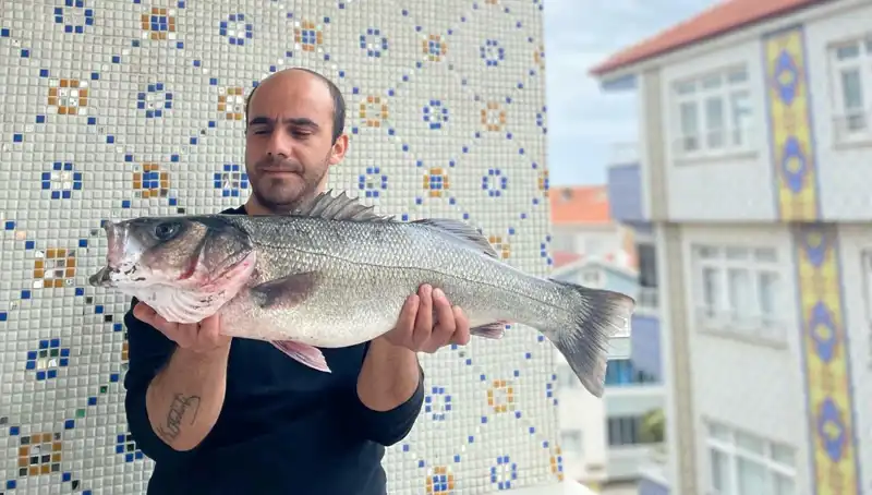 7.5 Kilogramlık Dev Levrek Avı: Balıkçıların Gözdesi Oldu