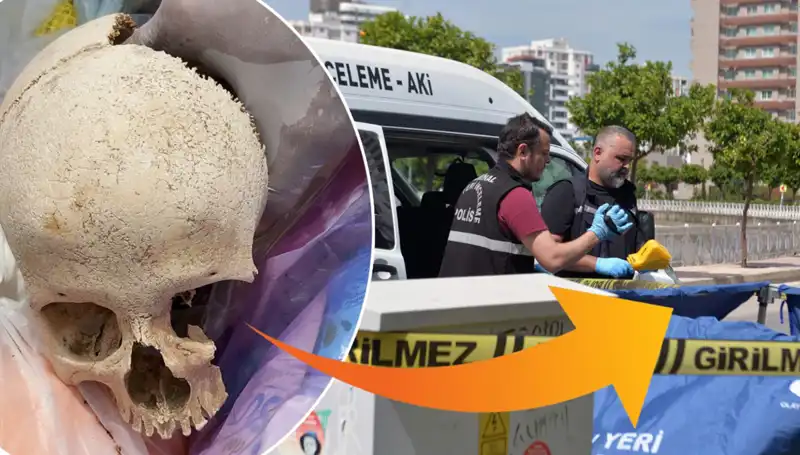Sitenin Çöpünden Çıkan Kafatası: Şok Edici Detaylar Ortaya Çıktı!
