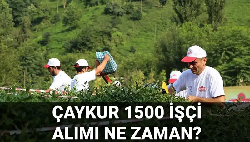 ÇAYKUR İşçi Alımı Kura Çekimi Ne Zaman? İşte Tarih ve Detaylar!