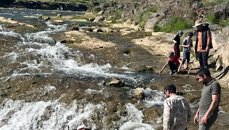 İnci Kefalinin Esrarengiz Göçü: Turistlerin Gözdesi Oldu