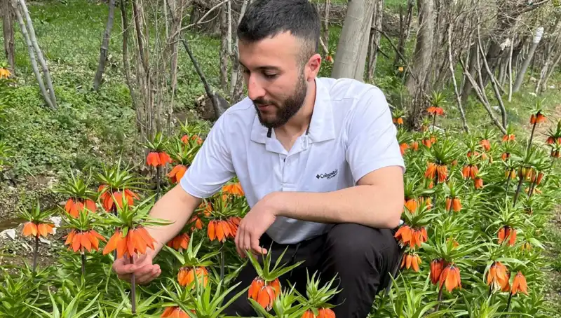 Ağlayan Gelin: 20 Günlük Ömrü ile Doğanın Eşsiz Hediyesi
