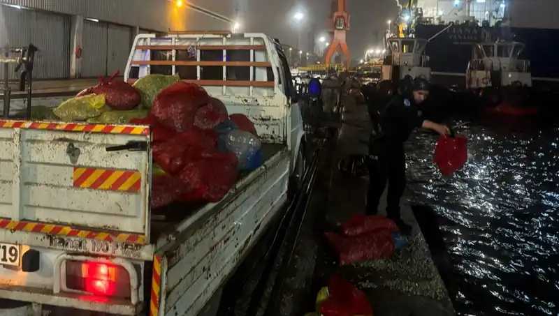 Kaçak Midyelerde Şok Gelişme: Büyük Miktarda El Konuldu!
