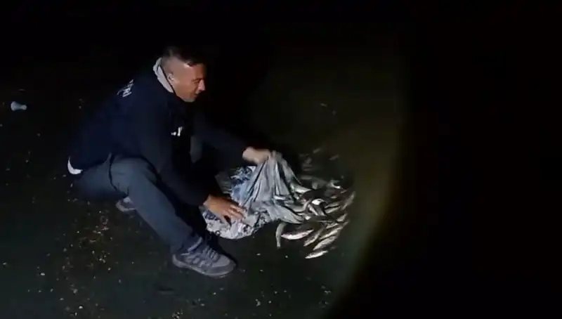 1 Ton İnci Kefali Avlandı: Balıkçılar Neşeli, Doğa Koruma Endişeli