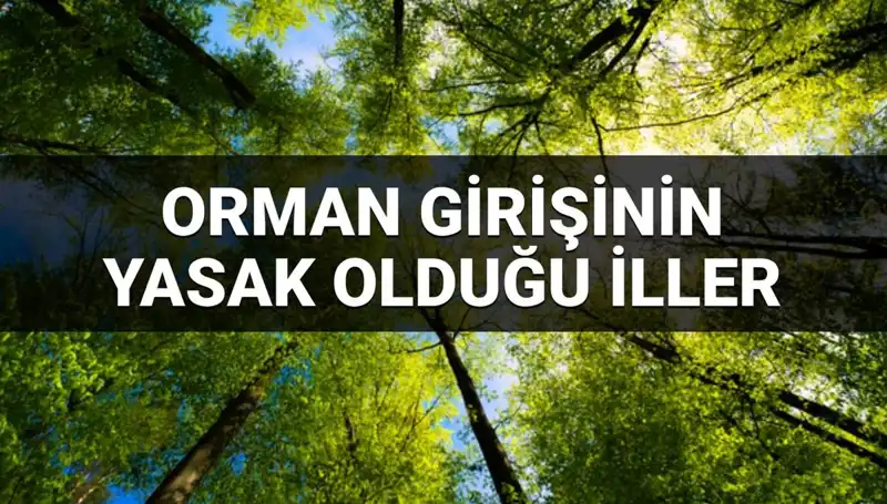 2025'te Ormana Girişi Yasaklanan İller: Sıra Dışı Kararlar Neler?